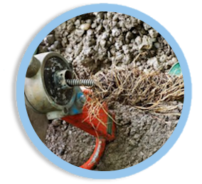 Rooter Service in Los Angeles